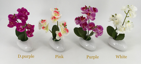 Assorted Orchids in White Oval Pot