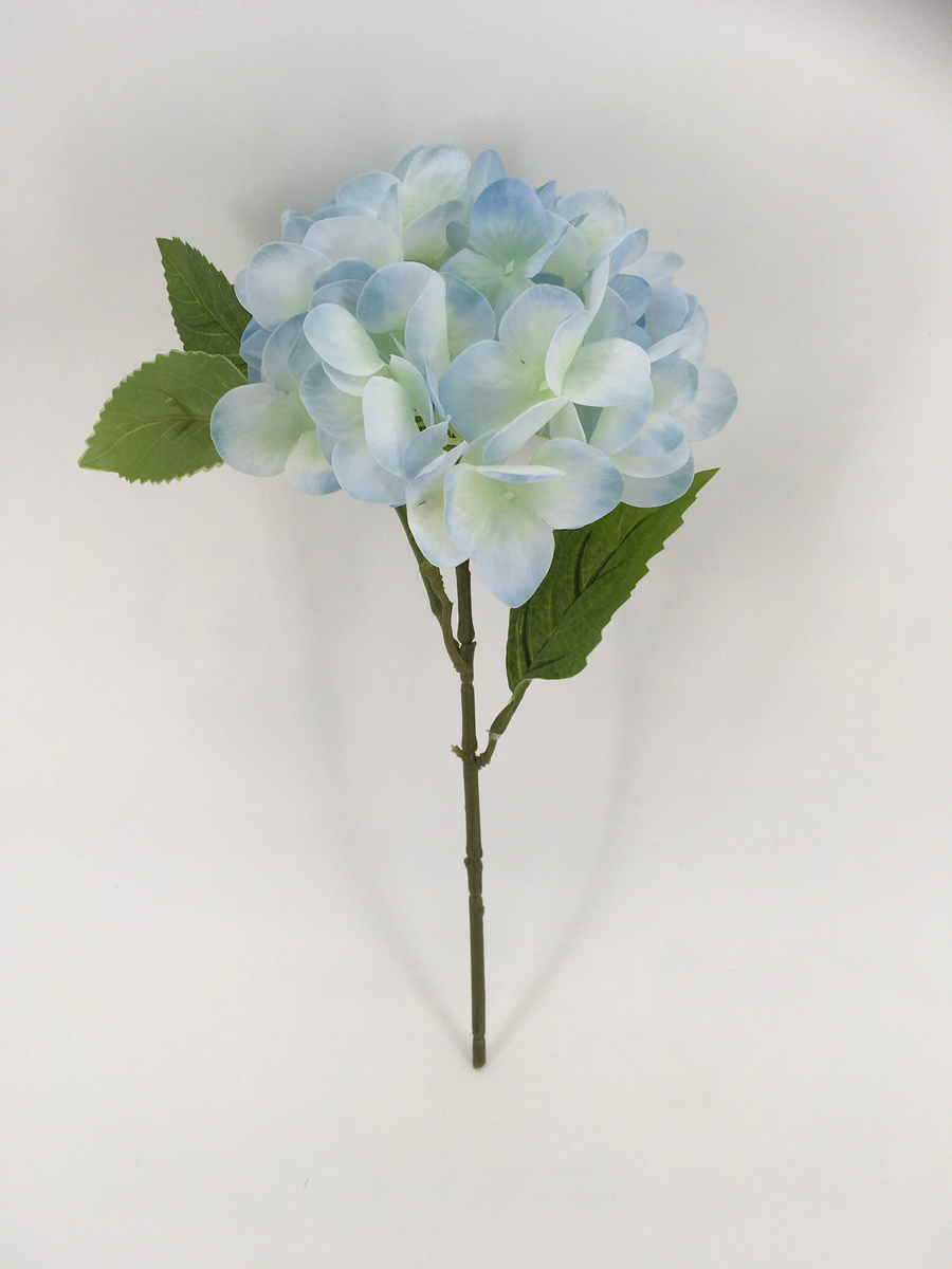 Single Blue Hydrangea – Mabrouk Imports