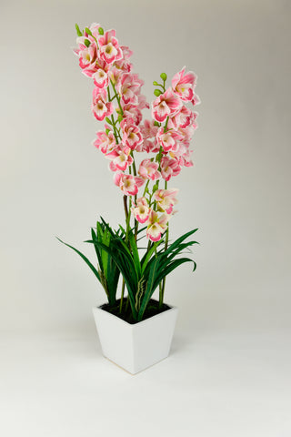 Pink/White Orchids with White Pot