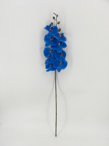 Single Blue Orchid