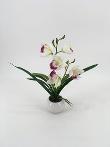 White and Purple Orchid in Circular White Pot