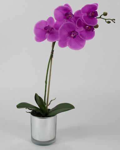 Single Purple Orchid with Mirror Pot