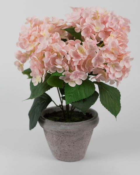 Pink Hydrangea with Grey Pot