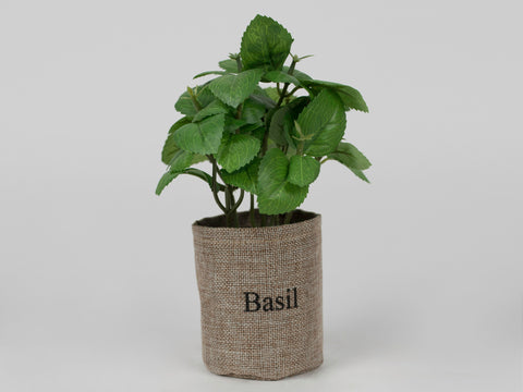 Basil Plant with Fabric Pot