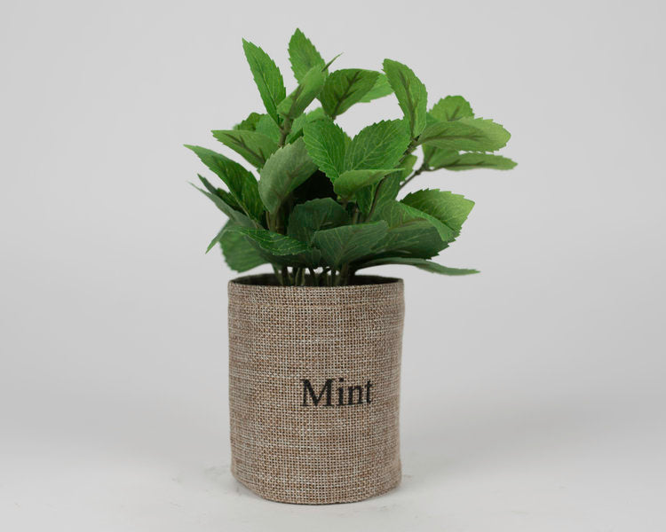 Mint Plant with Fabric Pot
