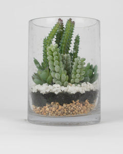 Assorted Succulents in Glass Vase