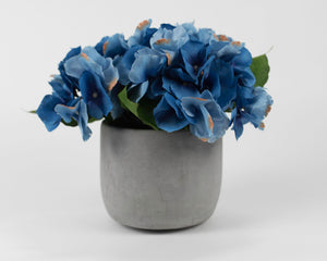 Blue Hydrangea with Stone Colored Pot