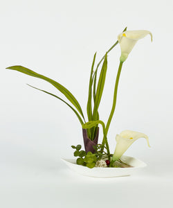 White Flowers in White Bowl