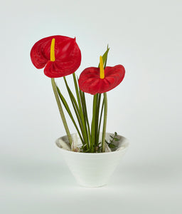 Red Flowers in White Vase