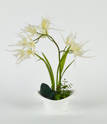 White Flowers in White Pot