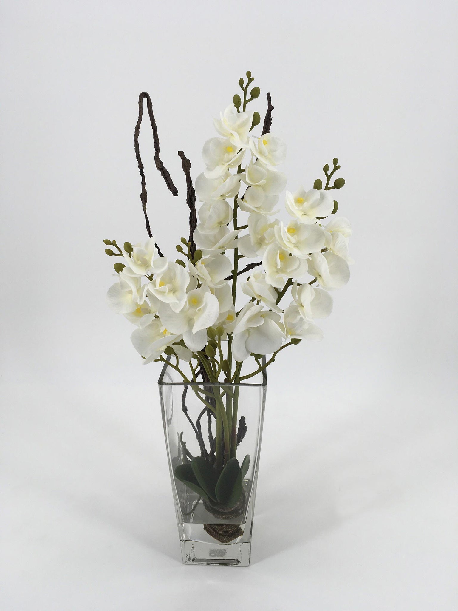 White Orchids in Glass Vase with Water