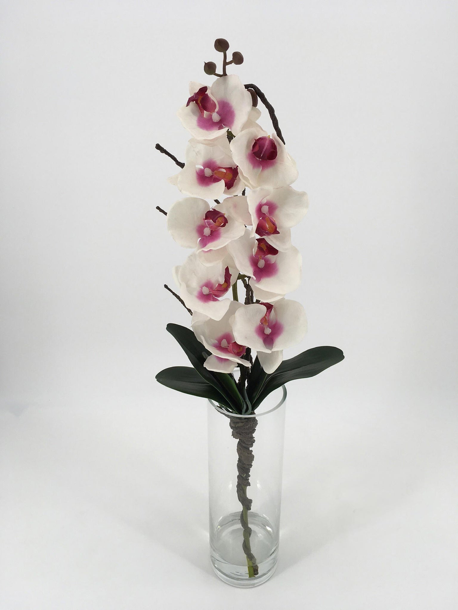 Tall Pink Orchids in Glass Vase