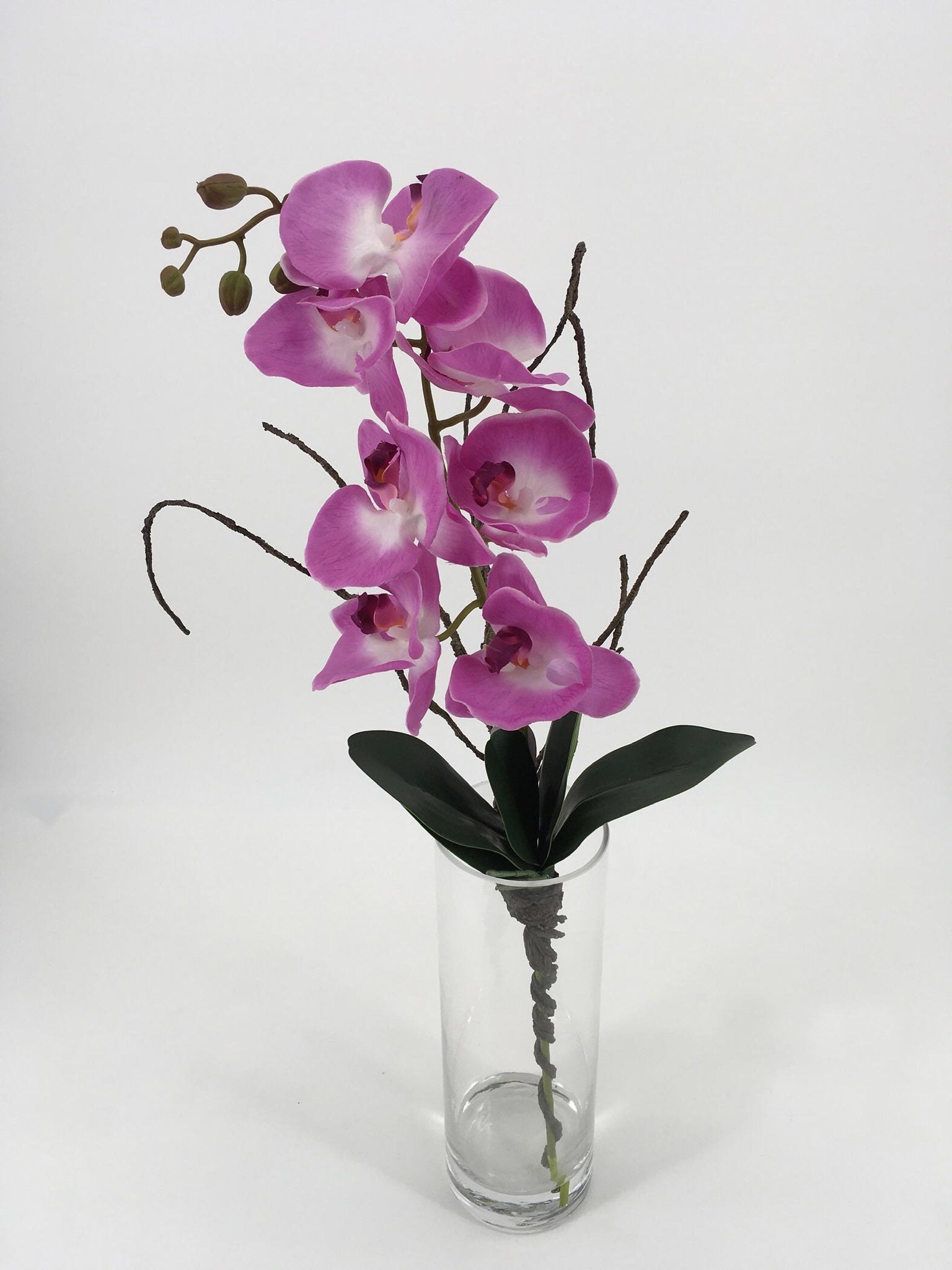 Purple Orchids in Tall Glass Vase