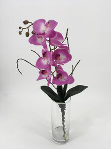 Purple Orchids in Tall Glass Vase