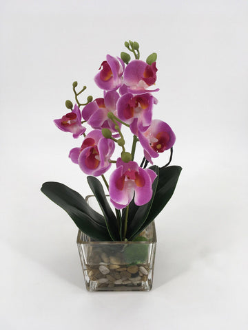 Purple Orchids in Glass Vase with Rocks