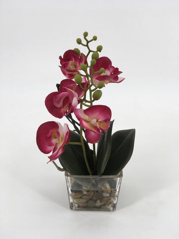 Pink Orchids in Square Glass Vase with Rocks