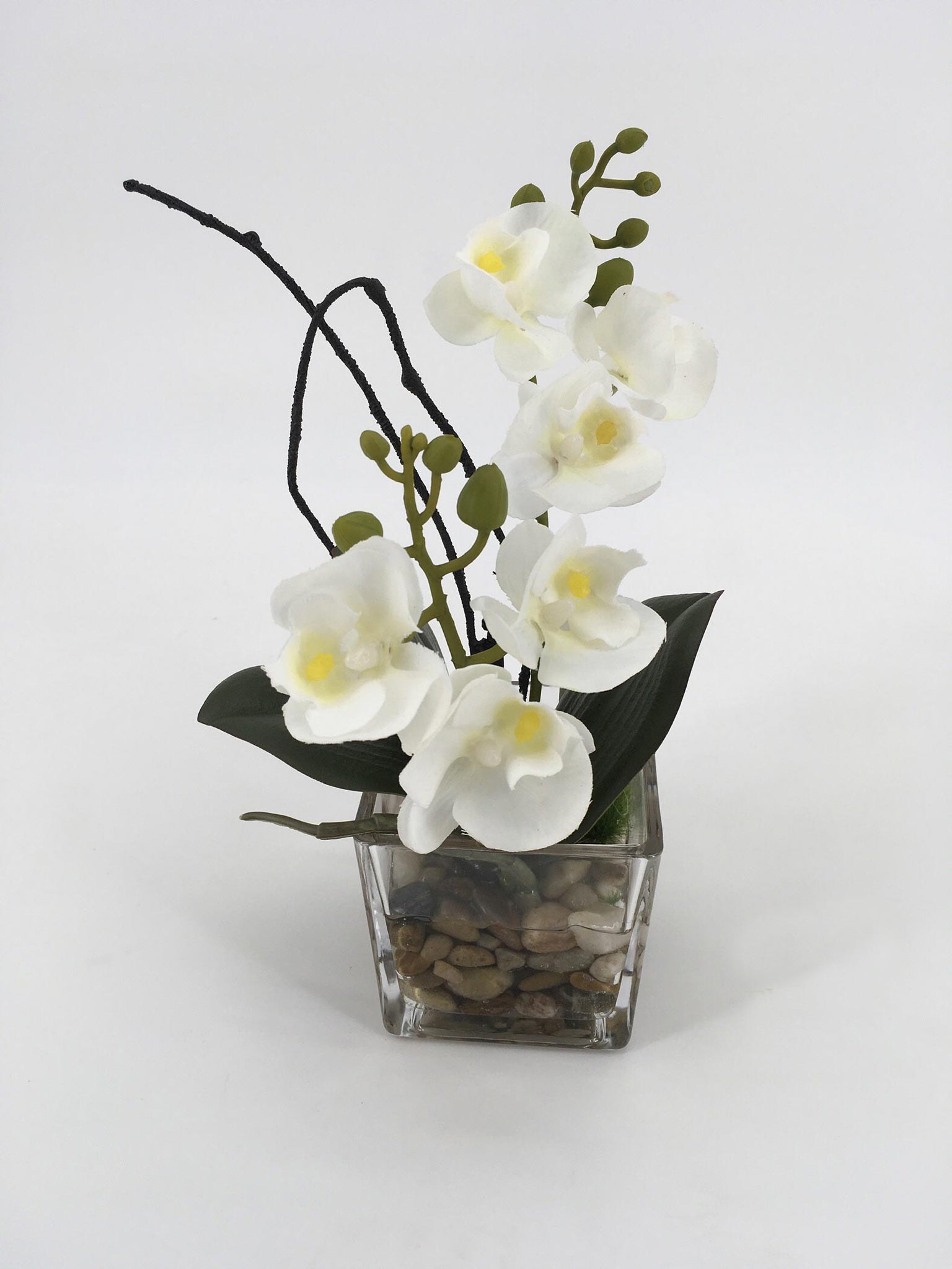 White Orchids in Square Glass Vase with Rocks