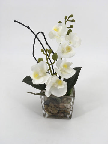 White Orchids in Square Glass Vase with Rocks